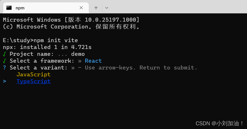vite+react+typescript环境搭建教程_vite+react+typescript项目配置指南_编程入门Vite