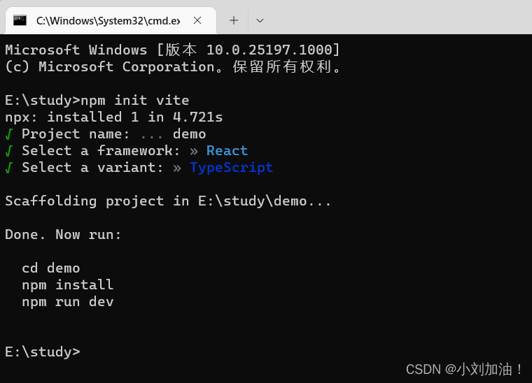 vite+react+typescript环境搭建教程_vite+react+typescript项目配置指南_编程入门Vite