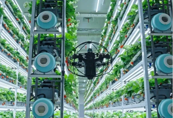 无农药无公害__无农药无化肥无公害