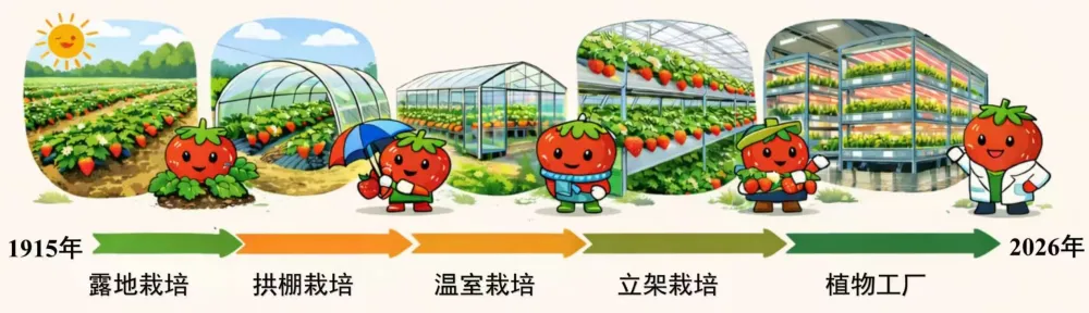 无农药无化肥无公害__无农药无公害