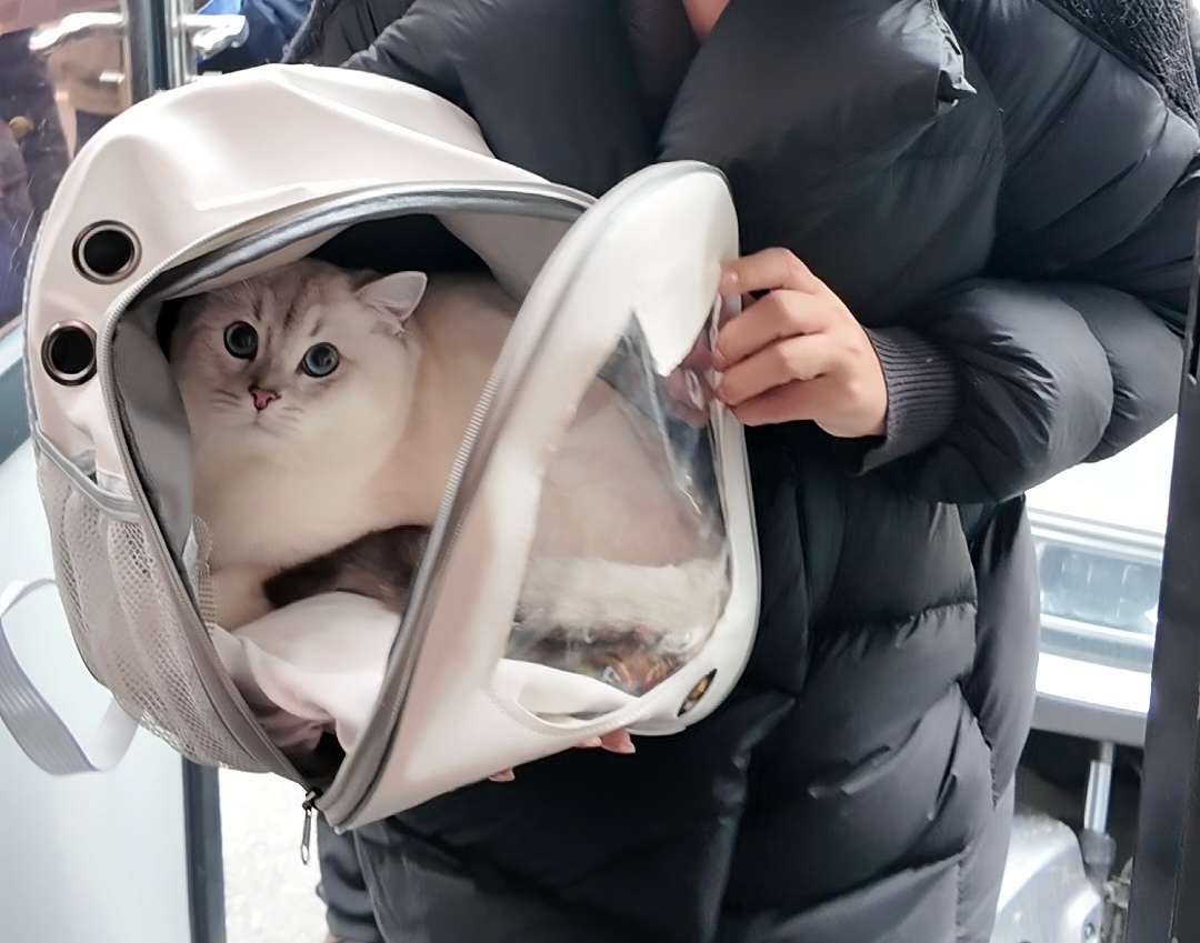 高铁铁路托运怎么办理__高铁拖运怎么收费