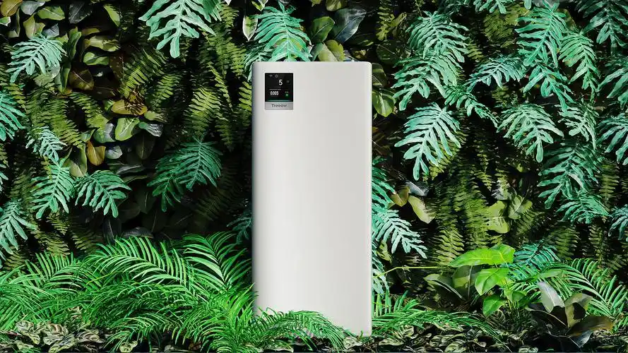 化解家中煞气_民间风水家居气场优化_净宅风水调整