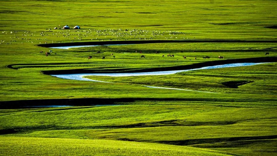 中医木克土_五行圆运动规律_中医五行相生相克