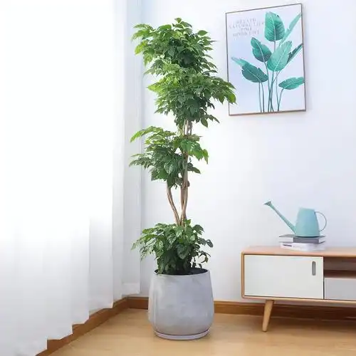 民间风水家居气场优化_入门关煞化解_家庭气场调和