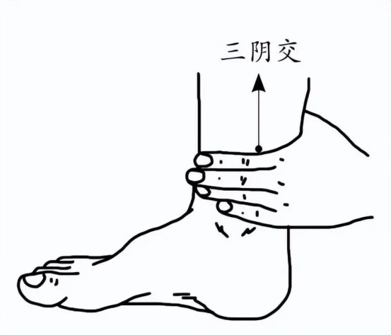 太冲穴三阴交穴位调理_中医经络穴位养血调经_月经不调穴位按摩