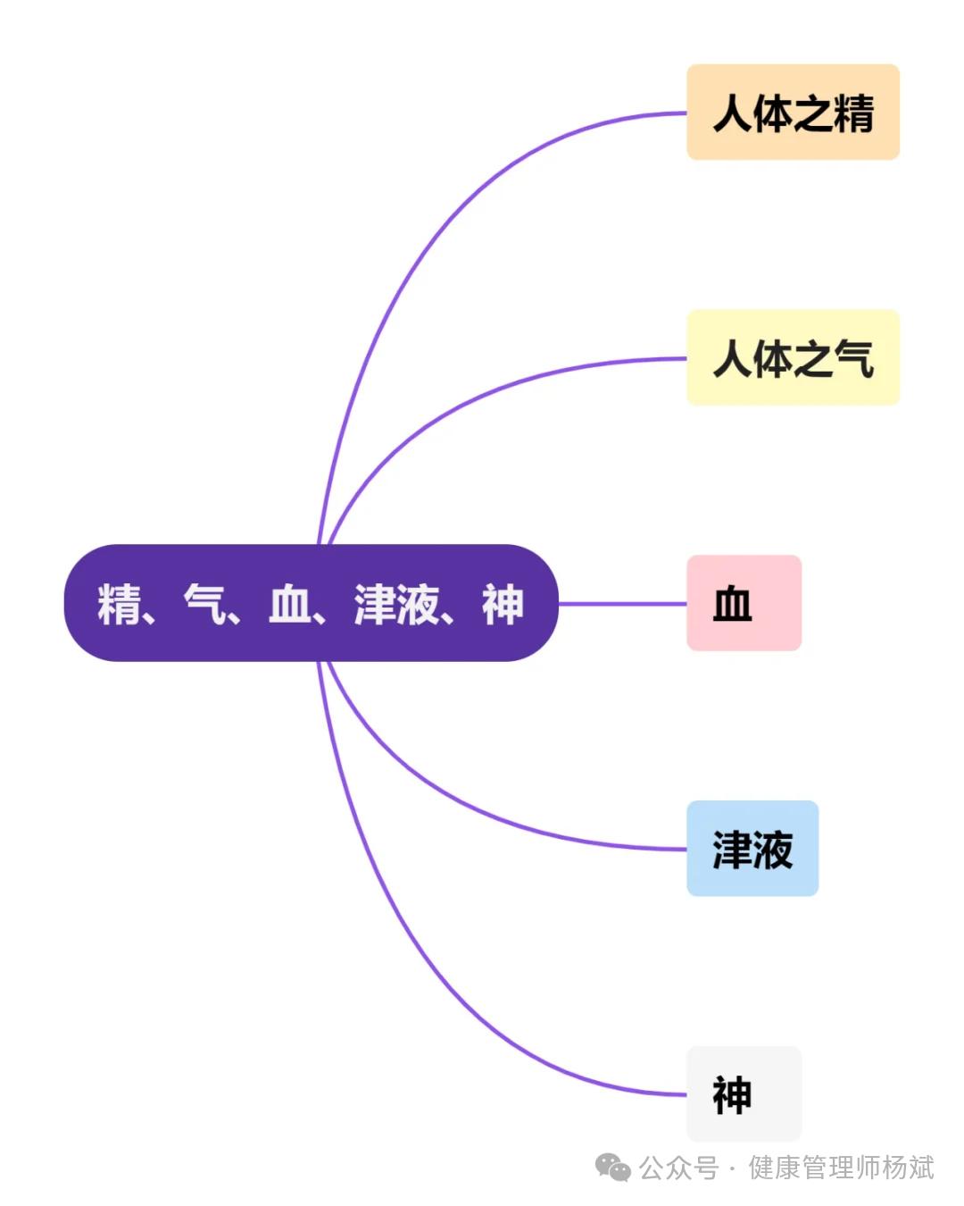 人体精气血津液功能_中医气血津液学说_中医精气血津液理论