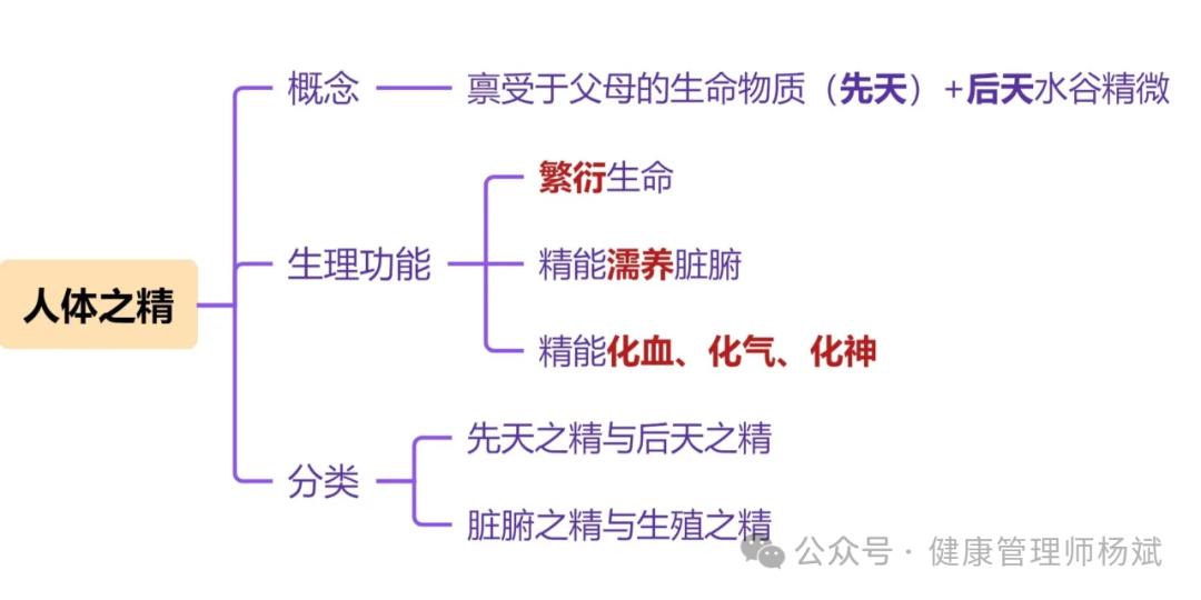 中医气血津液学说_中医精气血津液理论_人体精气血津液功能