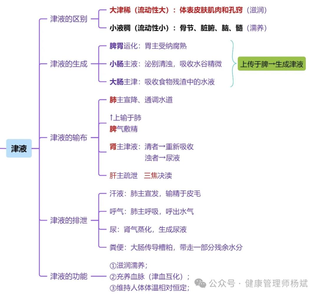 人体精气血津液功能_中医气血津液学说_中医精气血津液理论