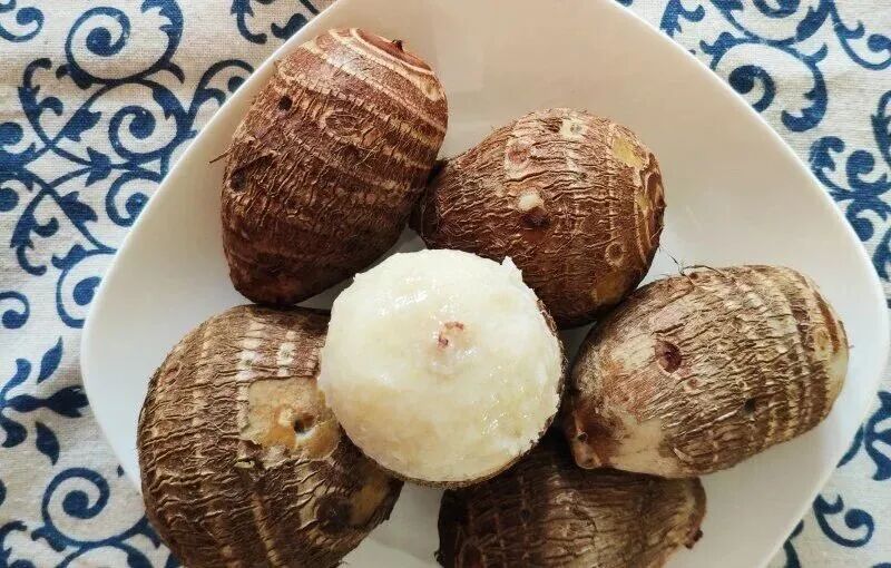 冬季应季芋头药膳_芋头治疗结节_芋头养生功效