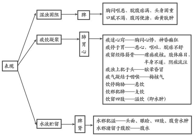 津液含义_中医气血津液学说_津液生理作用