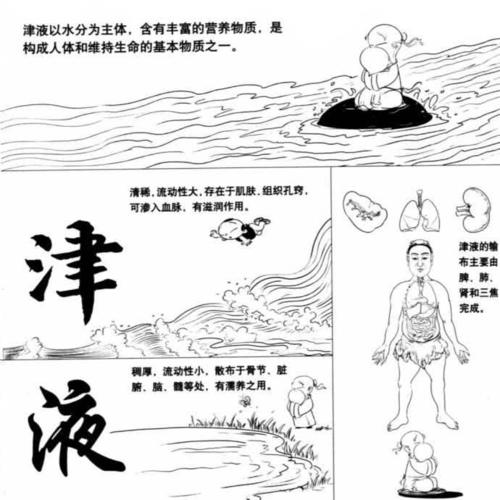 津液含义_津液生理作用_中医气血津液学说