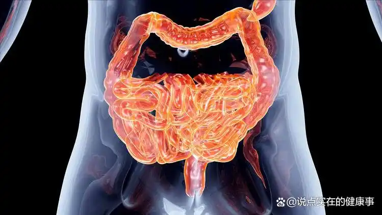 小寒节气养生 芋头 健脾养胃_冬季应季芋头药膳