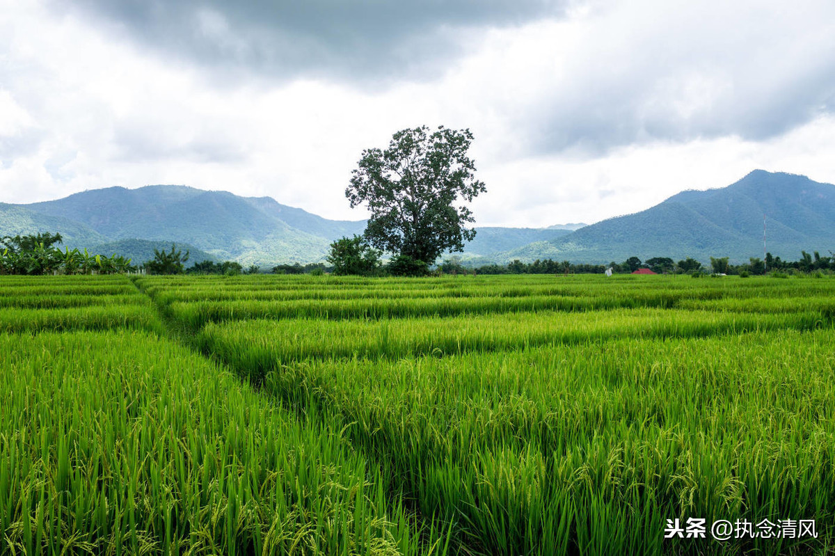 津液是什么 津液功能 津液病症_中医气血津液学说