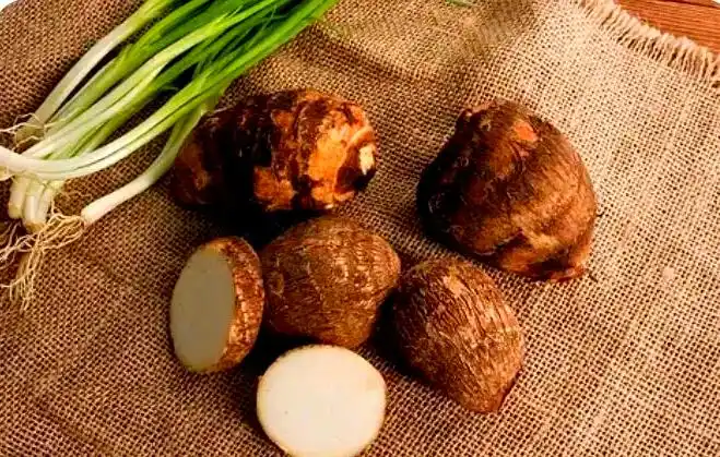 冬季养生芋头功效_芋头健脾润肠散结_冬季应季芋头药膳