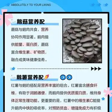 家常鹅肉药膳_鹅与山药炖汤_鹅与椒盐搭配