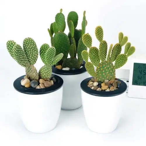 风水误区路冲化解风水学_枪煞风水化解_路冲煞的含义与影响