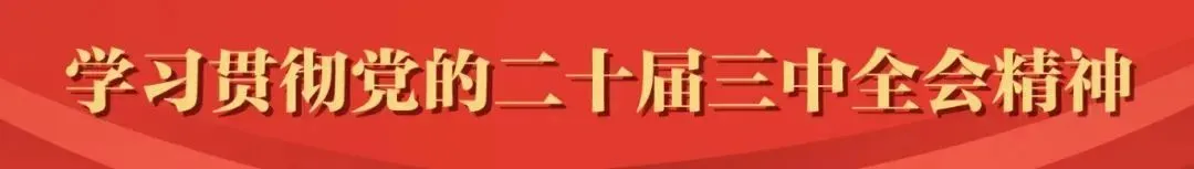 中医养生功法养血功效_气血不足中医调理_八段锦养生功法