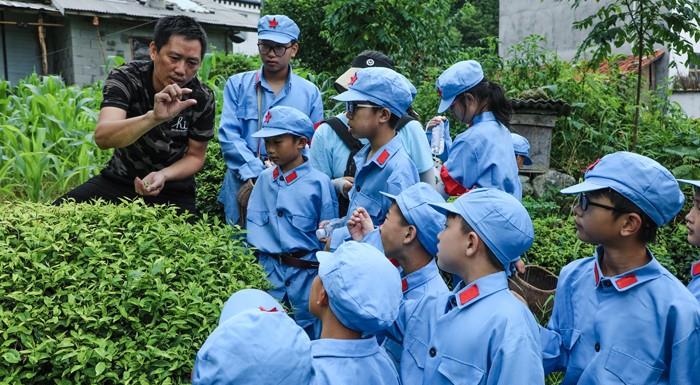 霍启刚郭晶晶合体拜年_霍启刚郭晶晶育儿理念_郭晶晶霍启刚春节习俗
