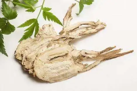 羊肉汤药膳_冬季养生汤推荐_当归生姜羊肉汤功效