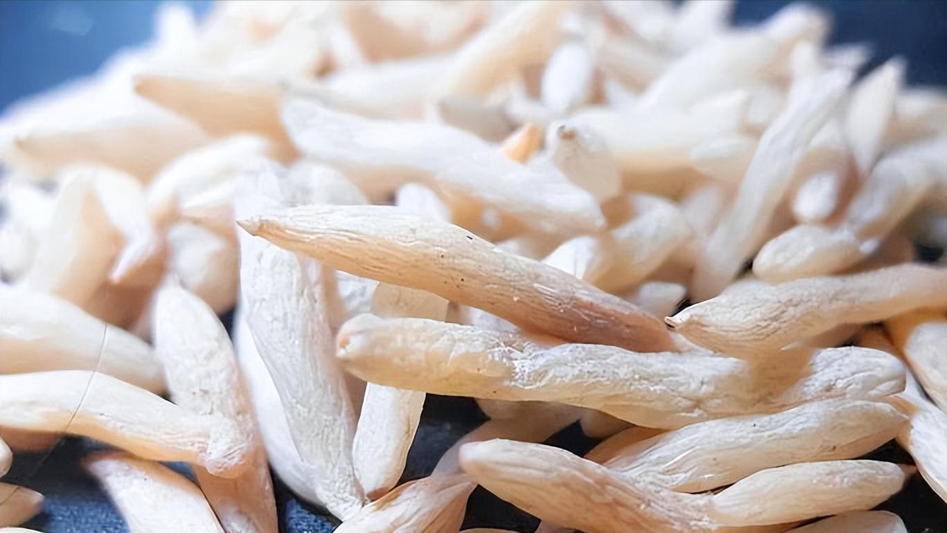 中医体质调理中药_黄芪麦冬调理阴阳_提升免疫力中药泡水