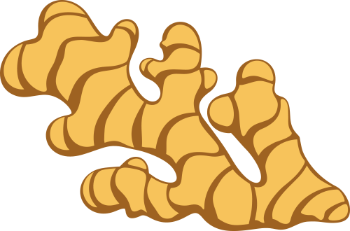 羊肉汤药膳_当归生姜羊肉汤做法_当归生姜羊肉汤功效