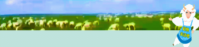 羊奶布丁食疗_羊奶营养丰富营养物质_羊奶脂肪颗粒细小吸收快