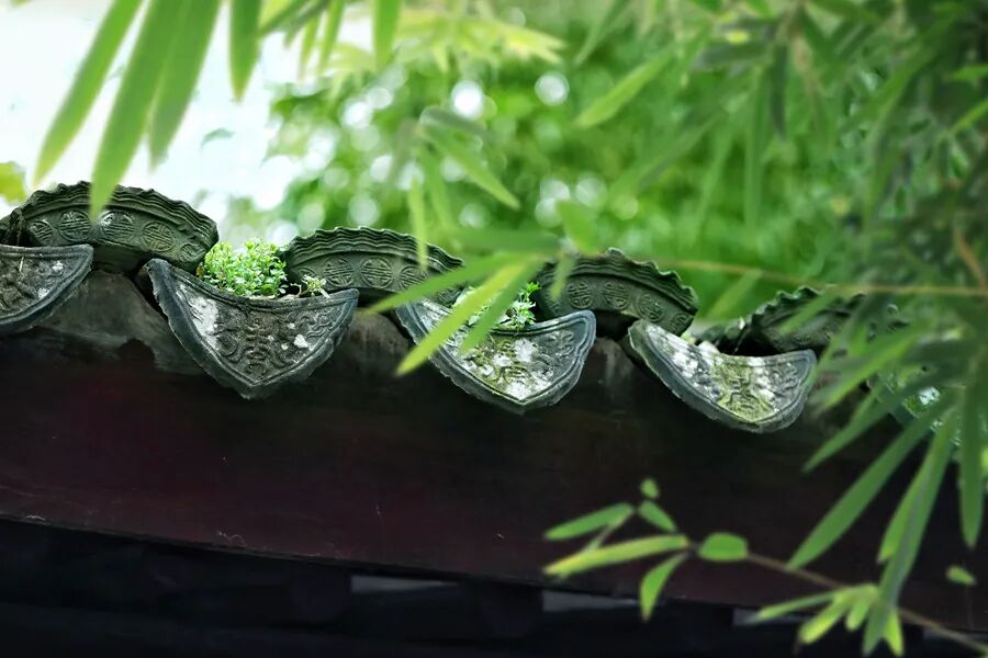 冬季气候养生_四季食养家常药膳_食疗药膳调养原则