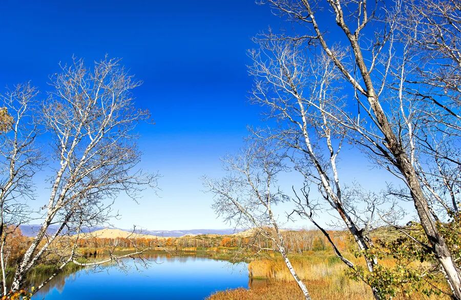 四季食养家常药膳_食疗药膳调养原则_冬季气候养生