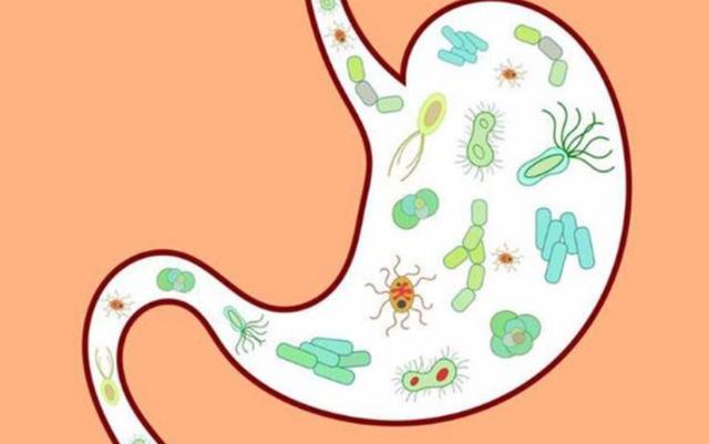 小米粥养胃功效_小米粥对血糖的影响_中医糖尿病小米养护