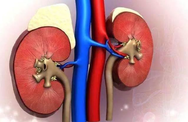 小米粥养胃功效_中医糖尿病小米养护_小米粥对血糖的影响