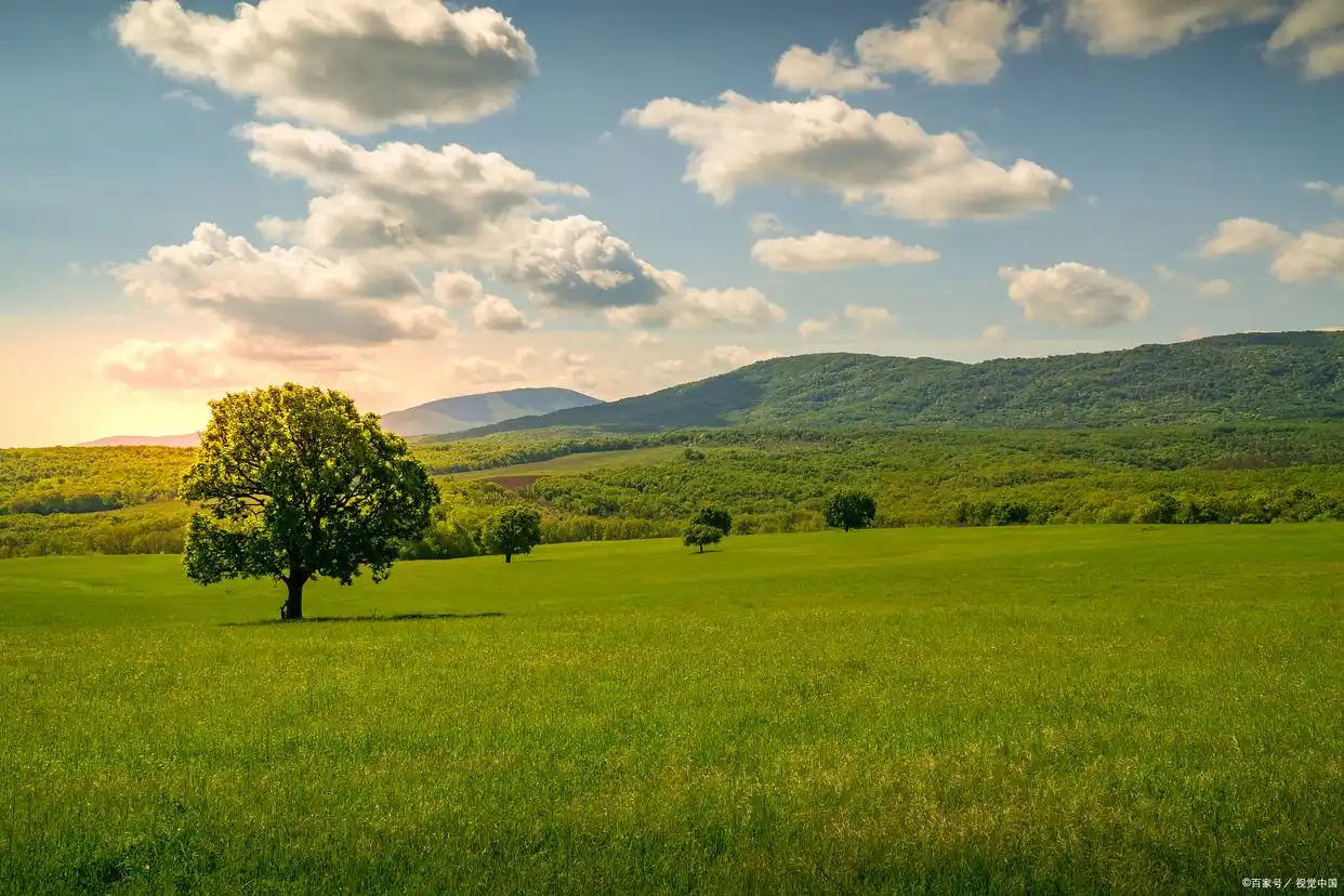 八字格局分析_八字职业分析_八字与事业 风水学