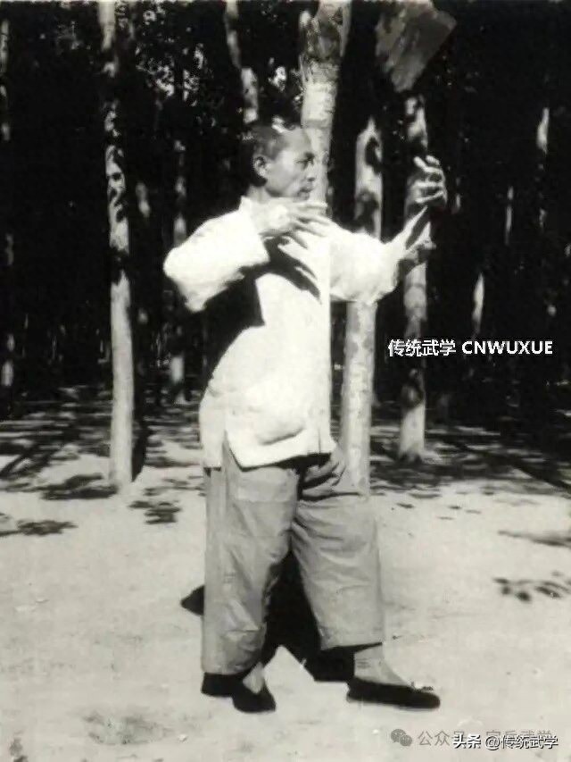中医养生功法增强免疫功效_站桩内劲修炼_站桩培补元气
