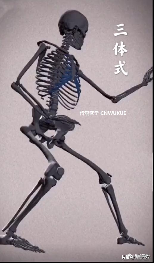 中医养生功法增强免疫功效_站桩内劲修炼_站桩培补元气