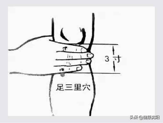 中医提升免疫力穴位_中医养生功法增强免疫功效_提高机体免疫力方法