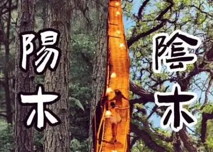 八字命理_风水易经_八字与事业 风水学