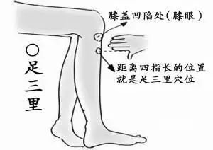 调和脏腑_中医体质调理与塑形_中医体重管理