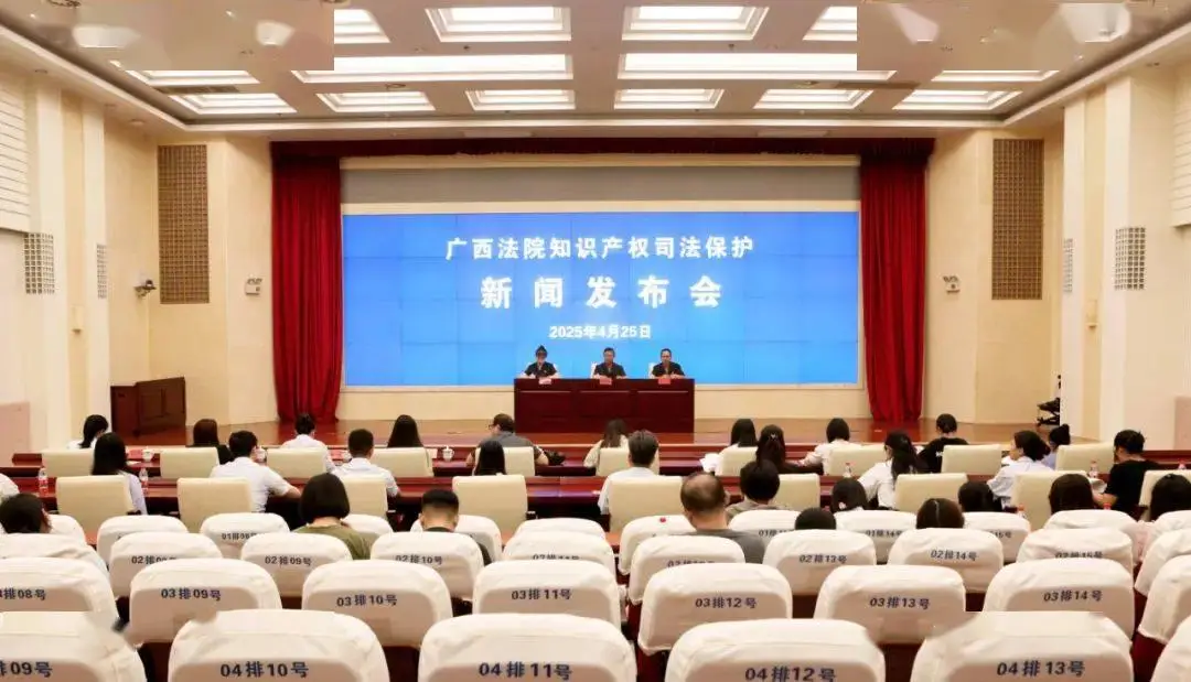 广西法院知识产权保护_域名知识产权保护成功案例_知识产权案件审判机制