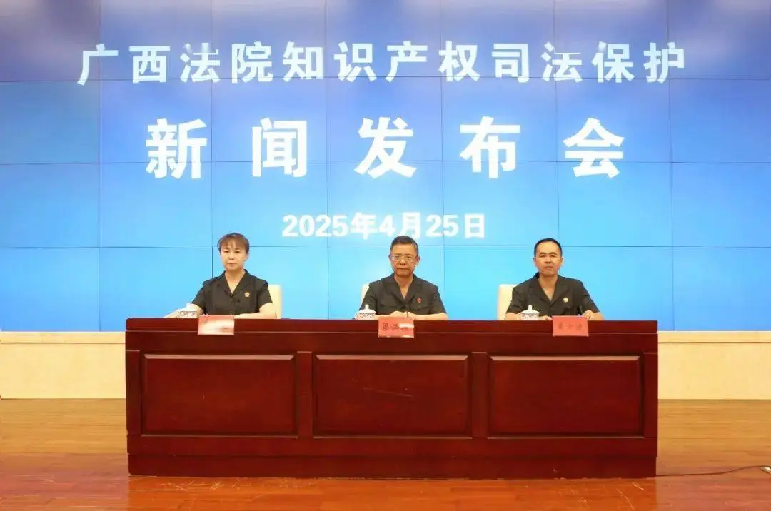 知识产权案件审判机制_域名知识产权保护成功案例_广西法院知识产权保护