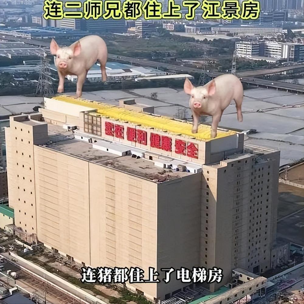 AI智能_智慧农业_科技趋势云计算农业应用