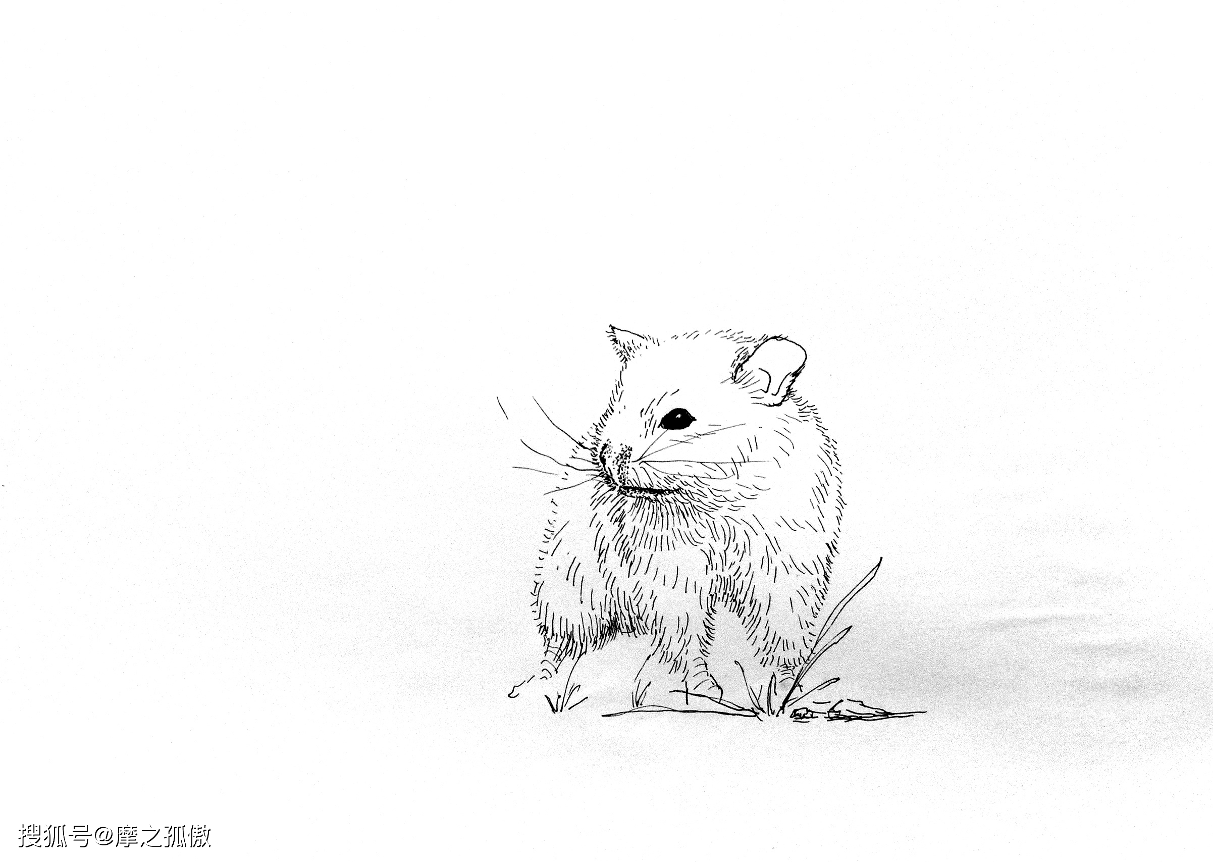 办公室风水布局_办公桌摆放禁忌_办公桌尺寸风水学