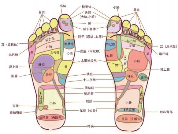 中药泡脚功效_中医泡脚改善肢体困重功效_中药泡脚好处