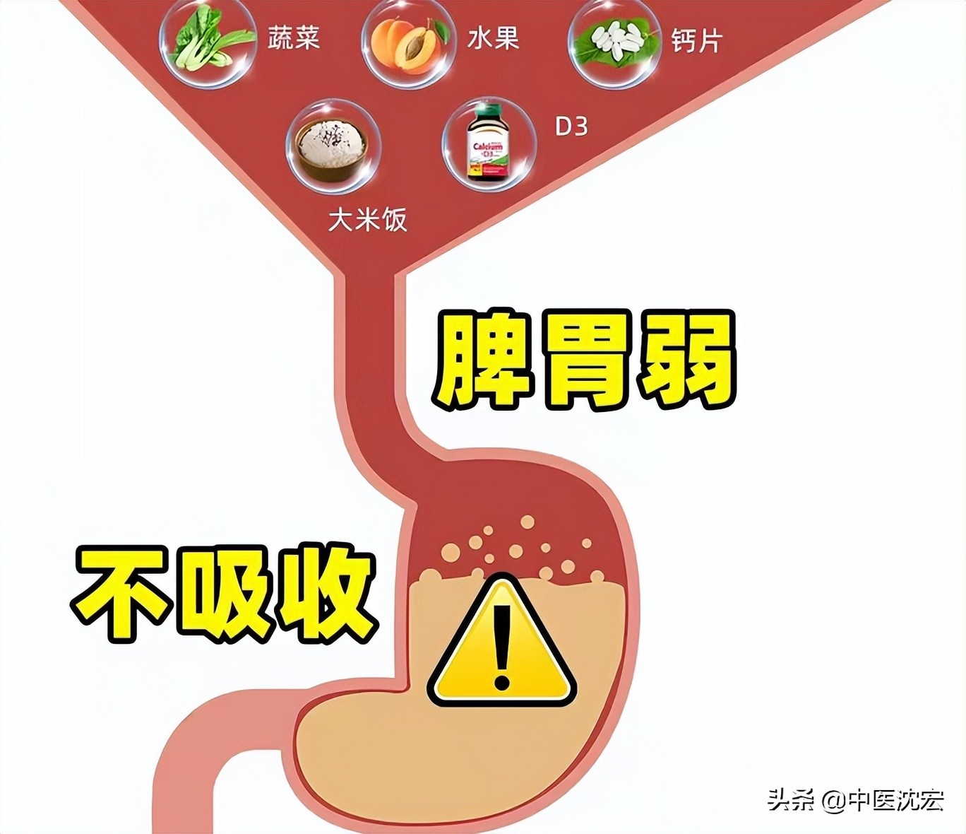 胃强脾弱 吃得多不胖 中医调理_中医脾