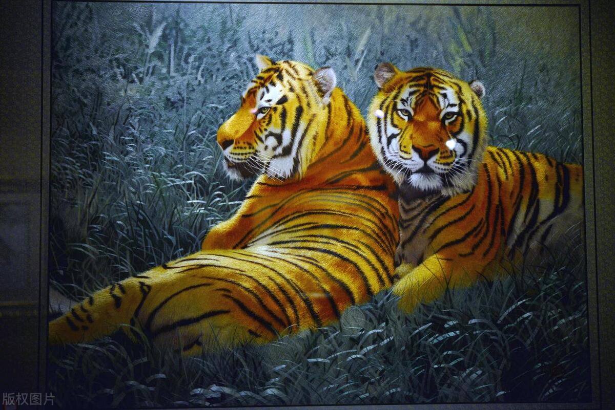 客厅挂画风水禁忌_夕阳西下的画风水影响_风水误区风水挂画万能风水学