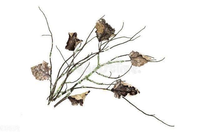 夕阳西下的画风水影响_客厅挂画风水禁忌_风水误区风水挂画万能风水学