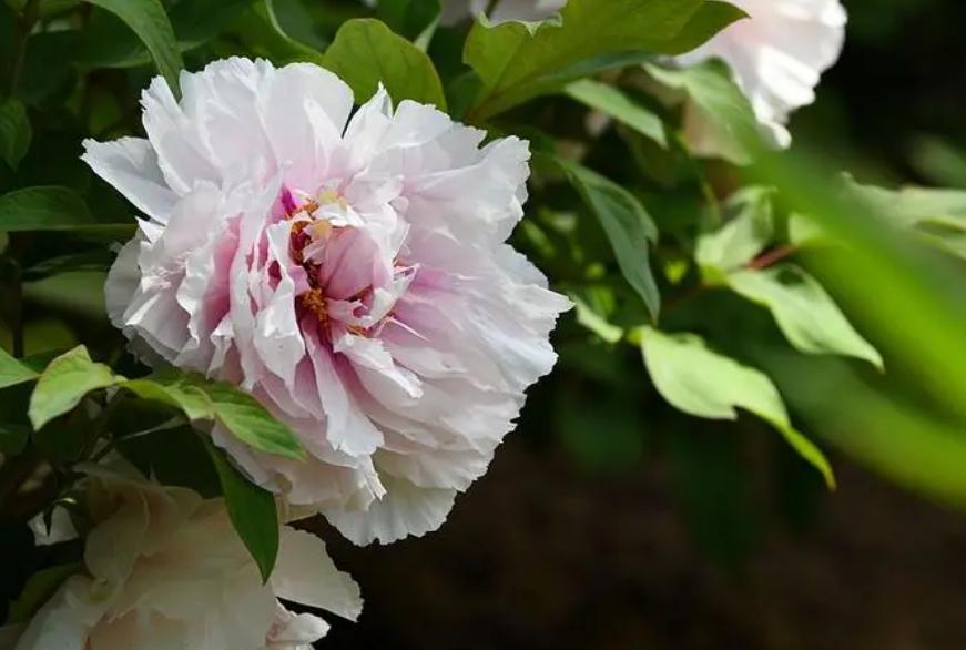 客厅挂画禁忌_客厅挂画风水讲究_风水误区风水挂画万能风水学