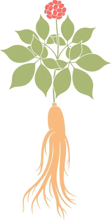 药食同源药材用量_药膳茶饮食疗_药膳汤用量标准