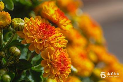 葫芦忌对门摆放风水学_葫芦风水摆放_正对大门挂葫芦适宜性