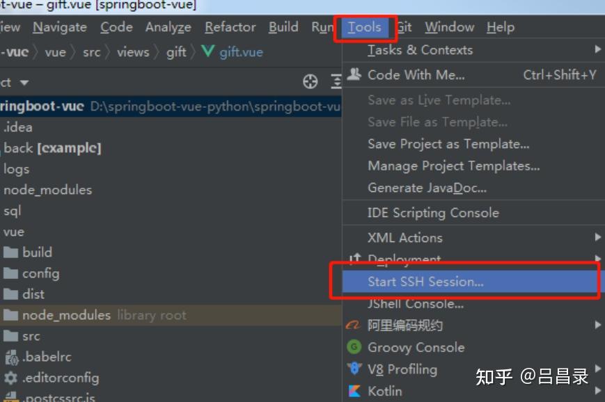 IDEA实用技巧_IDEA开发效率提升_工具技巧IDEA拼写检查