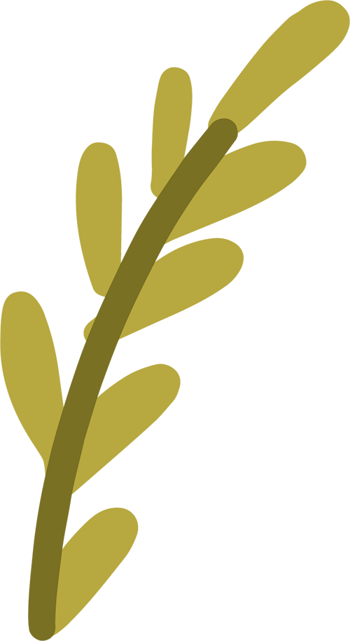 甘味食物补脾胃_春季滋阴养生药膳_春季养脾胃省酸增甘