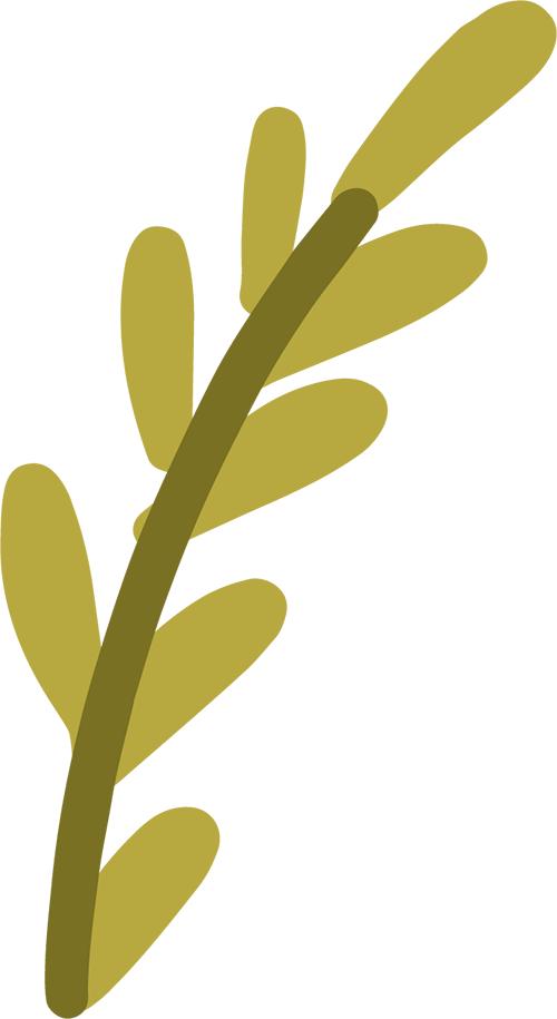 春季养肝食谱_春季饮食调养_春季滋阴养生药膳